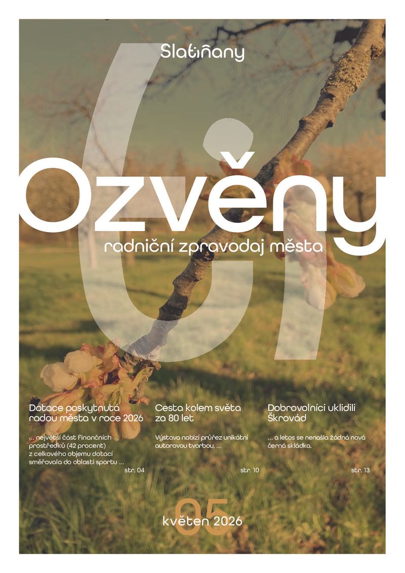 Obrázek